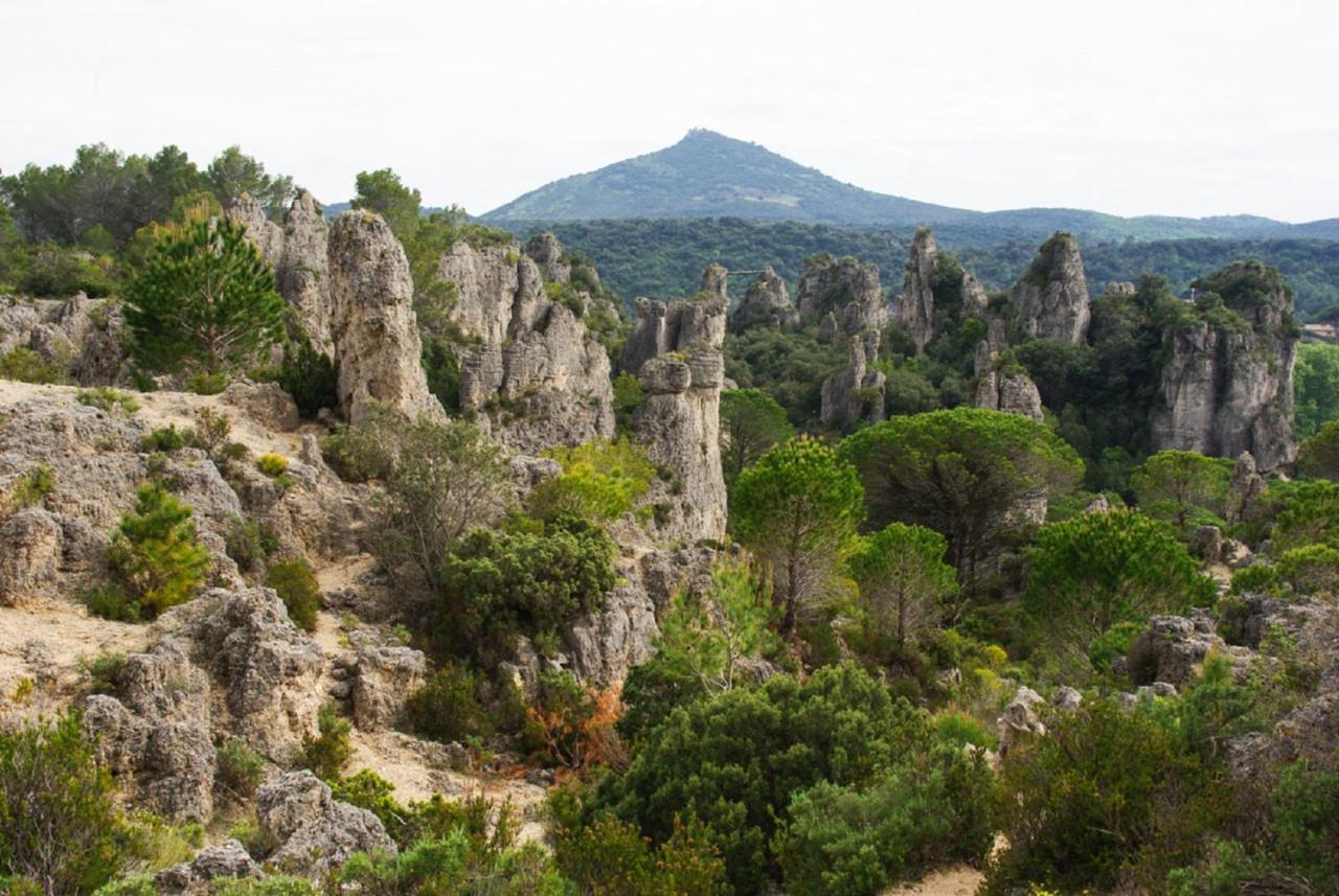 "Evasion"-Meuble De Tourisme 3 Etoiles -Residence "Les Logis De Beziers"-Garage Optionnel-Coeur De Ville-Plages A 16Km ! Buitenkant foto